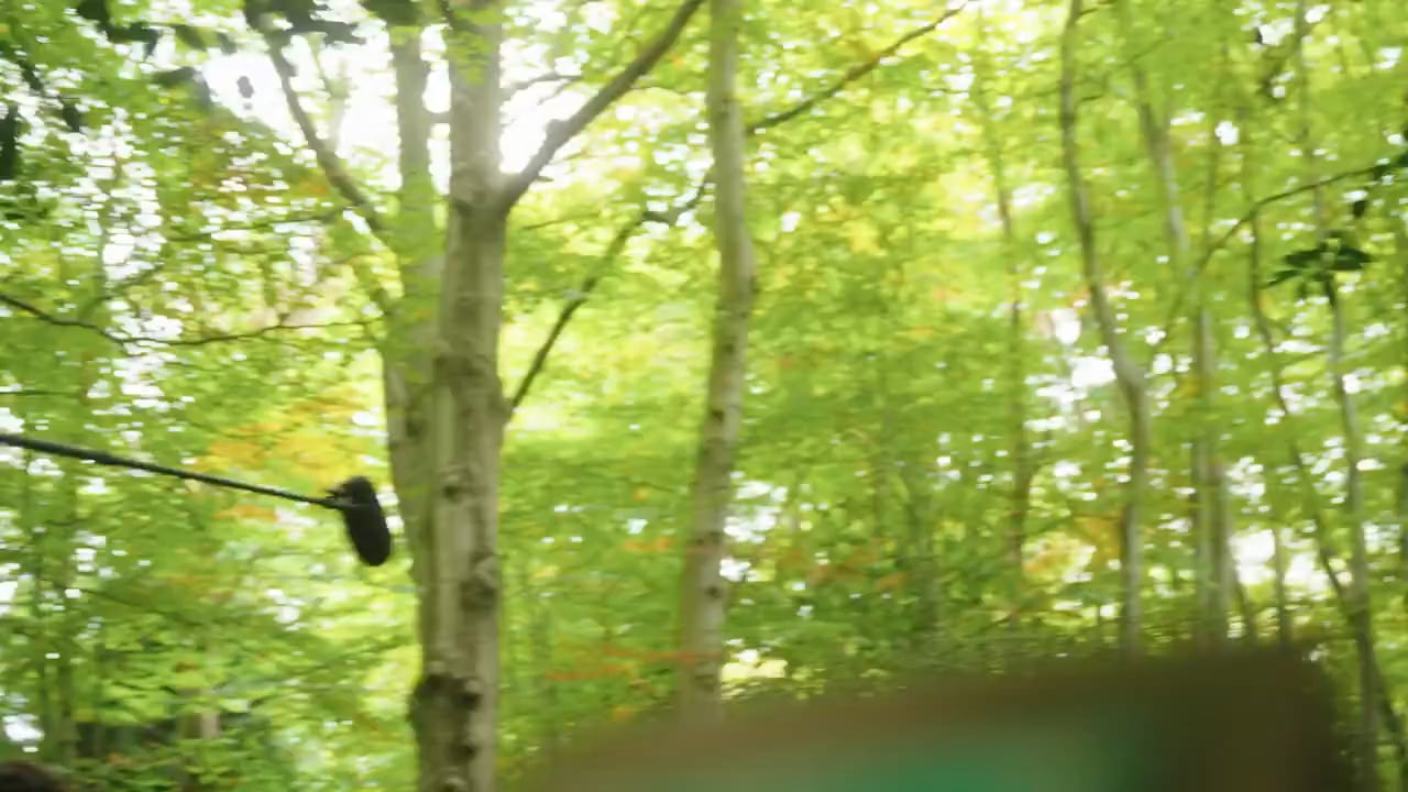 Woman walking dog stumbles upon Prince William and Jill Scott filming in Remembrance Park