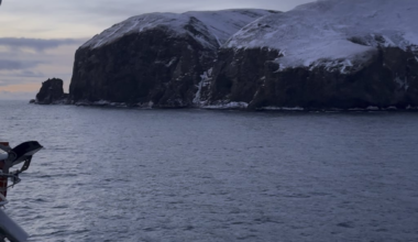 Bjørn øya (bear island)