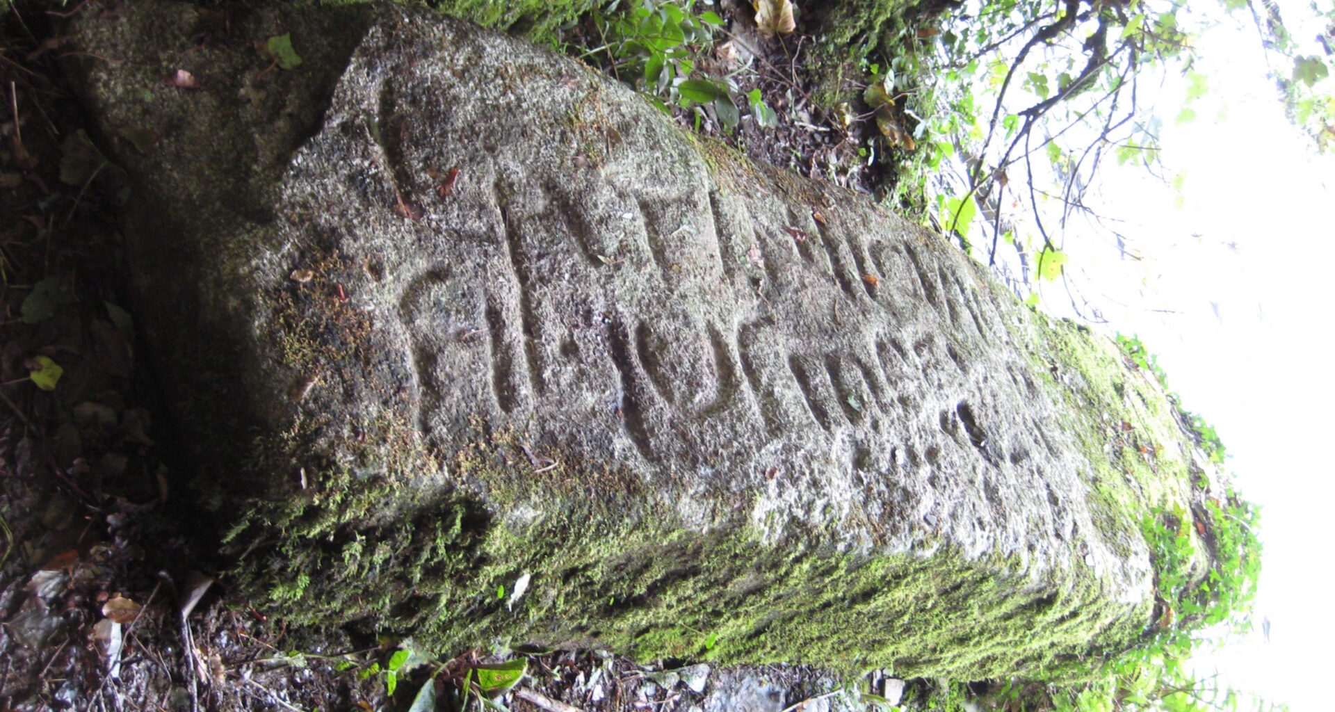 The Lost Colony, design by William Ludwell Sheppard, engraving by William James Linton.
