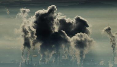 Lyon : feu maîtrisé après une explosion sur un site chimique, confinement levé pour les riverains