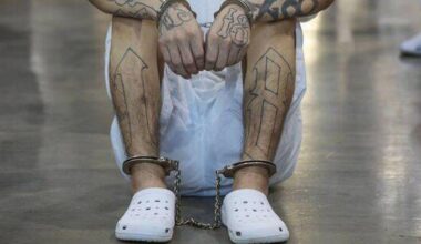 1,335-year jail sentence handed to member of MS-13 gang