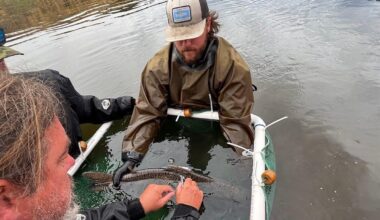 Klamath River tribes gain 10,000 acres in key salmon recovery area