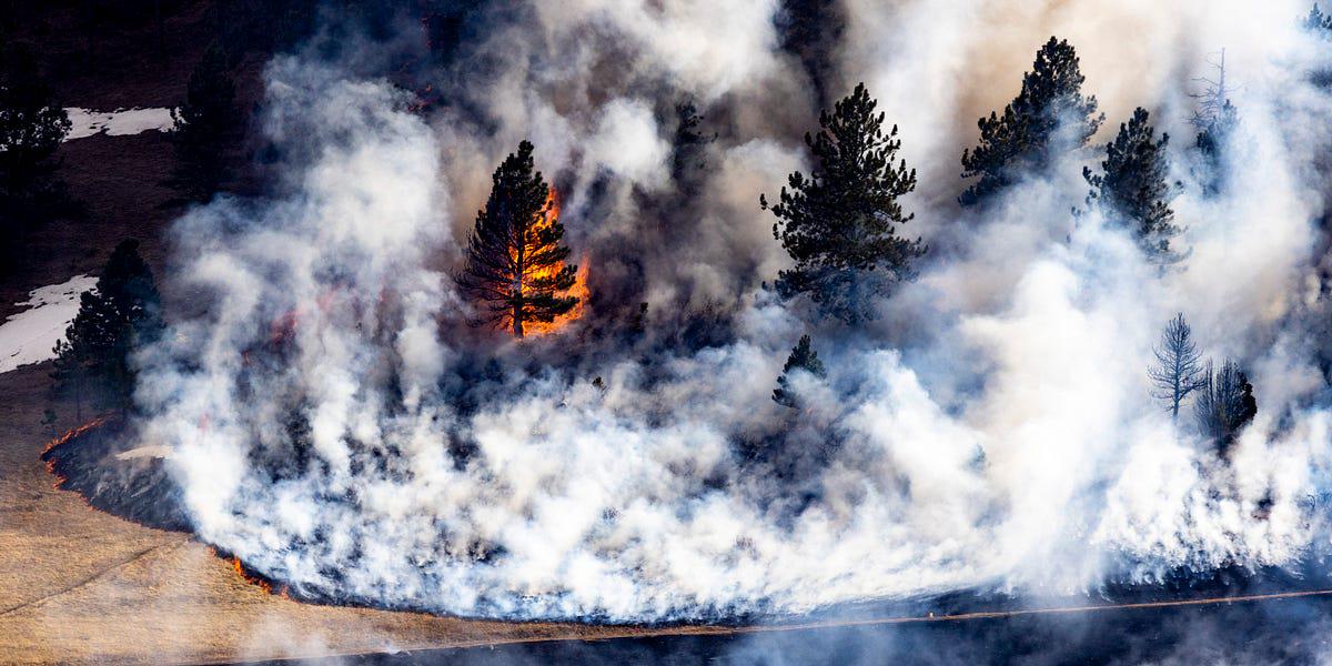 A Low Point: The Trump administration’s decision to shut down the National Center for Atmospheric Research is the most traumatic item on a list of recent climate defeats.