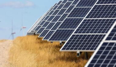 Global Solar Additions to Fall for First Time in 2026, Says BNEF