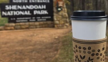 Taxation of Prepared Meals and Drinks in Germany and the United States