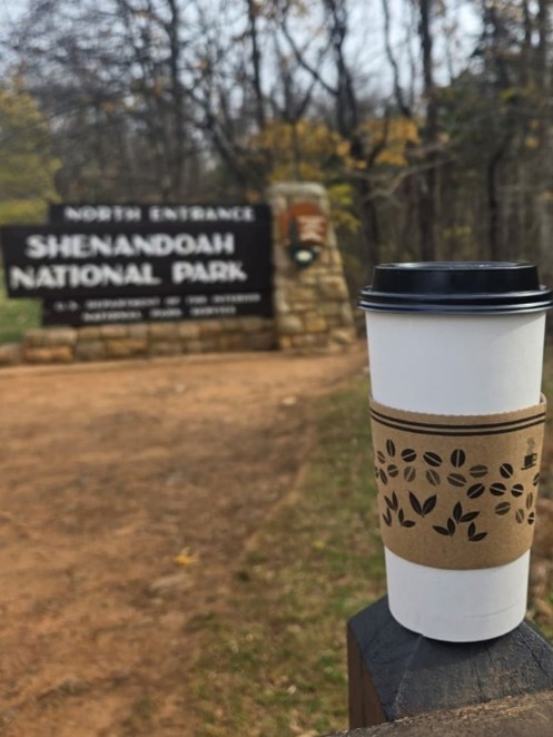 Taxation of Prepared Meals and Drinks in Germany and the United States