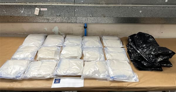 Young man arrested over $4.5m of meth discovery at Auckland Airport