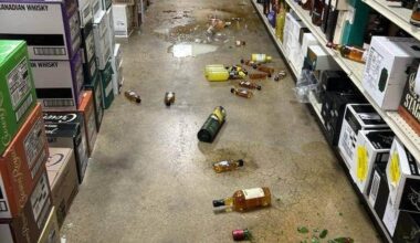 Rakun v trgovini razbil steklenice viskija in opit obležal na stranišču