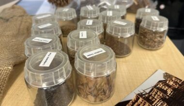 150-year-old seed company in Washington State helps reforest in the face of climate change