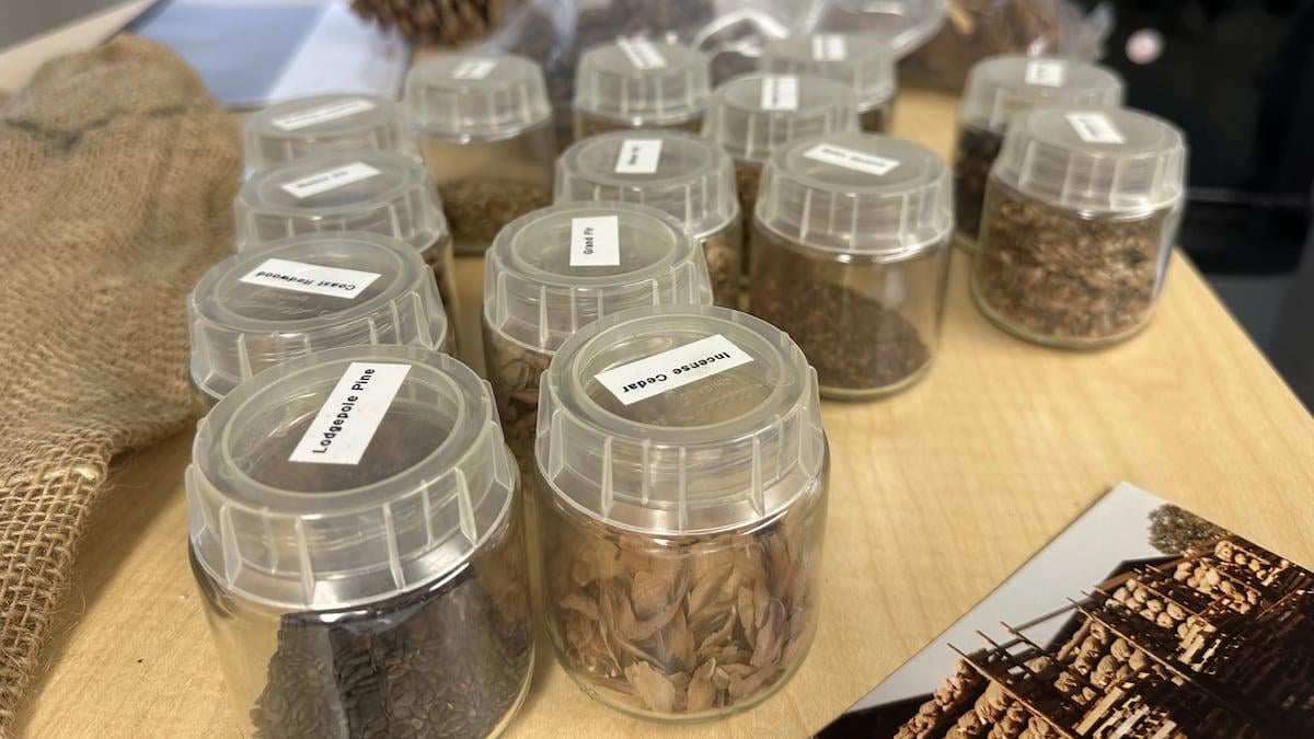 150-year-old seed company in Washington State helps reforest in the face of climate change