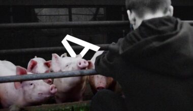 (Boeren) propaganda in de klas