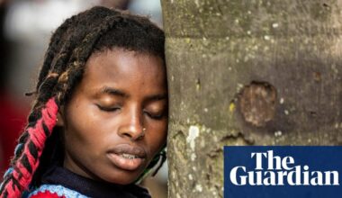 EU legislation intended to fight deforestation has been effectively ‘dismantled’ | Law’s original author points to removal of obligations for downstream traders to verify origin of commodities