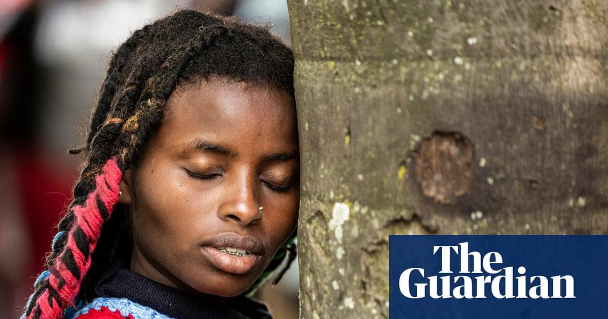 EU legislation intended to fight deforestation has been effectively ‘dismantled’ | Law’s original author points to removal of obligations for downstream traders to verify origin of commodities