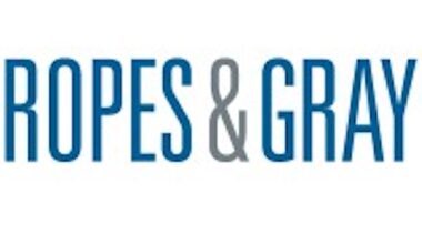 Gretchen Greene Named As Chief Of Artificial Intelligence Strategy