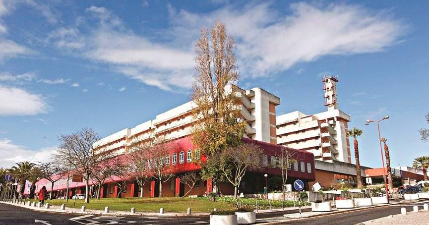 Garcia de Orta paga a tarefeiros 2.400 euros por dia