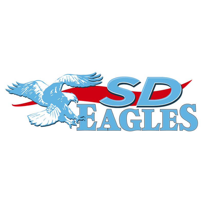 Eagles Drop Boys Hoops Opener at Denmark