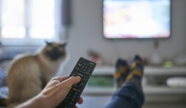 How BBC could model TV licence on Germany, where asylum seekers watch for free