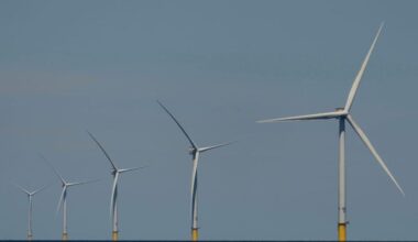 Trump administration suspends leases for major offshore wind projects