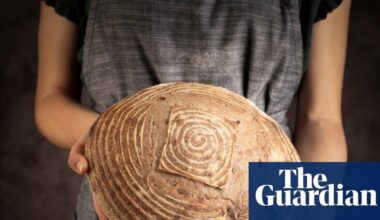 ‘Soil is more important than oil’: inside the perennial grain revolution. The damage inflicted by today’s food system is clear: one-third of global greenhouse gas emissions; ocean dead zones covering thousands of square miles; and 25bn-40bn tonnes of fertile topsoil lost each year.