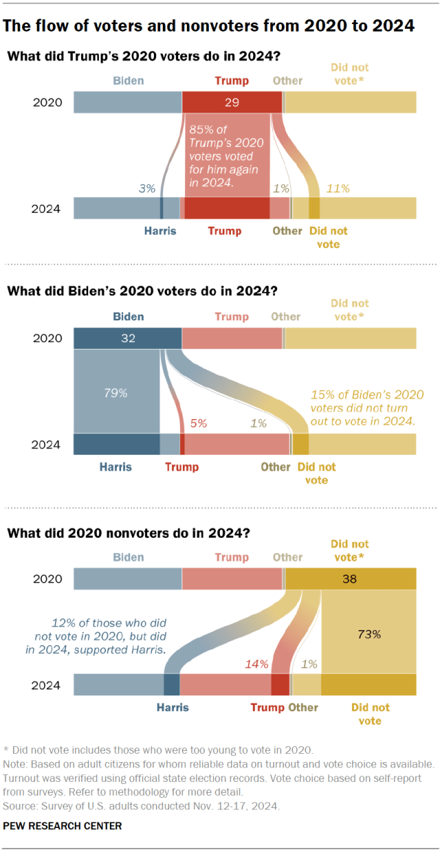 An alluvial diagram showing the the flow of voters and nonvoters from 2020 to 2024.