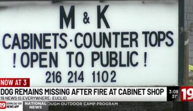 Late night fire destroys Euclid cabinet business; owner searches for missing dog