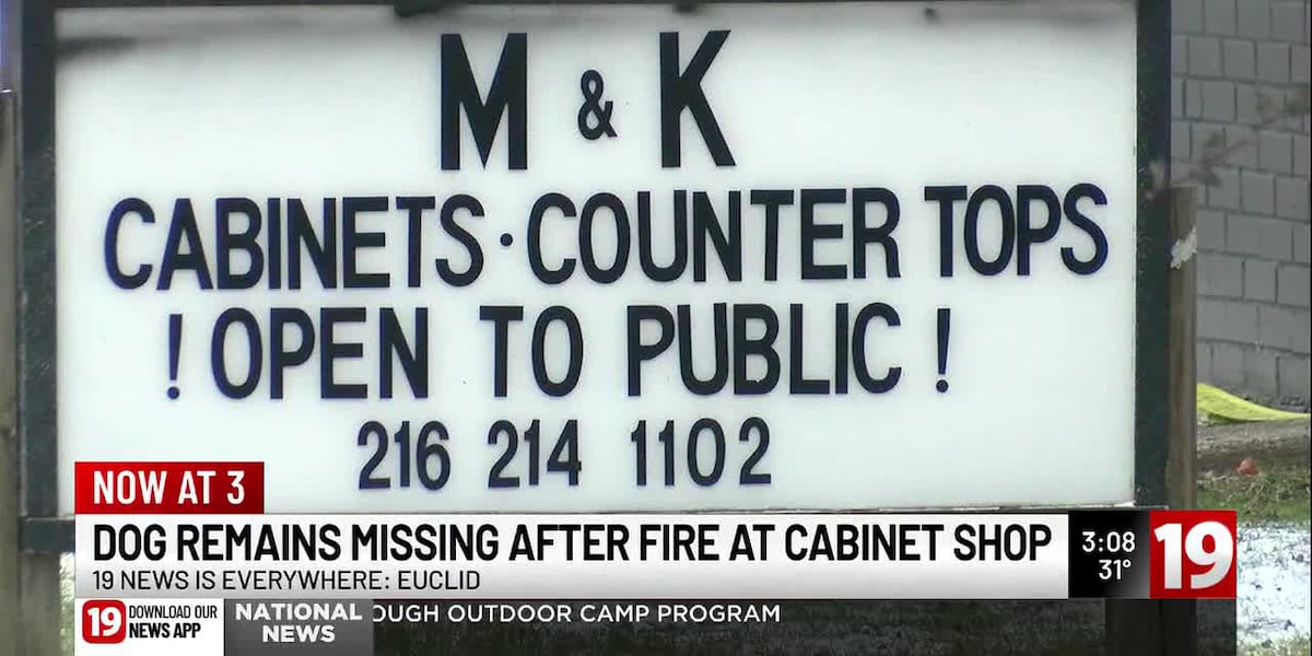 Late night fire destroys Euclid cabinet business; owner searches for missing dog
