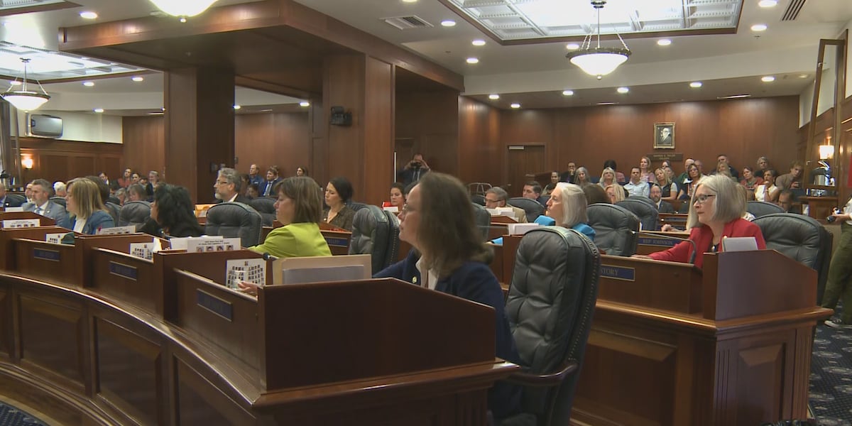 LNG pipeline legislation debate divides Alaska lawmakers after consultant calls it ‘essential’
