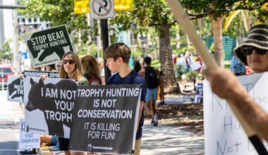 Letters: Stopping the bear massacre | Keep Orlando affordable