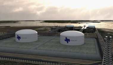 20-year offtake lands on LNG project’s table in Lone Star State
