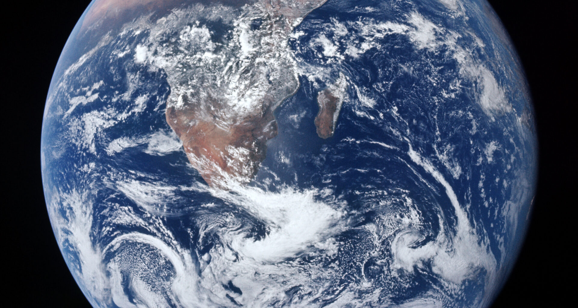 Image of Tracy Drain