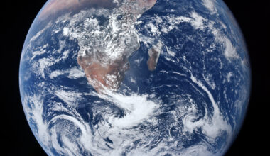 Image of Tracy Drain