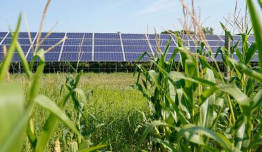 Trump administration admits to targeting blue states for energy grant cuts | Justice Department lawyers argue in a court filing that it is constitutional for the administration to withhold funding based on partisan politics.