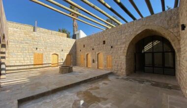 From Helsinki to Beirut – the Many Lives of a Finnish Pine