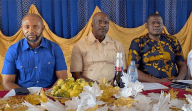 Chairman of PEDAN in Anambra State, Izukanne Chibuike