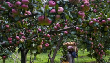 The Siasat Daily: Latest Hyderabad News, Telangana, Entertainment, India