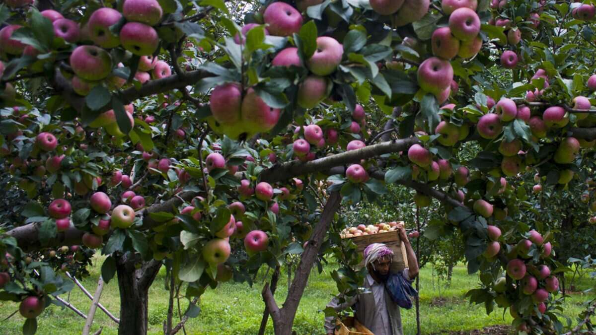 The Siasat Daily: Latest Hyderabad News, Telangana, Entertainment, India