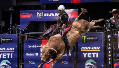 Australia outrides New Zealand in epic two-night bucking battle