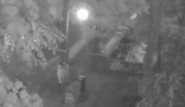 Footage filmed by 15-year-old girl as she was snatched from a park and raped by two teenage Afghan asylum seekers is so horrific it would cause riots if the public saw it, attacker's lawyer says