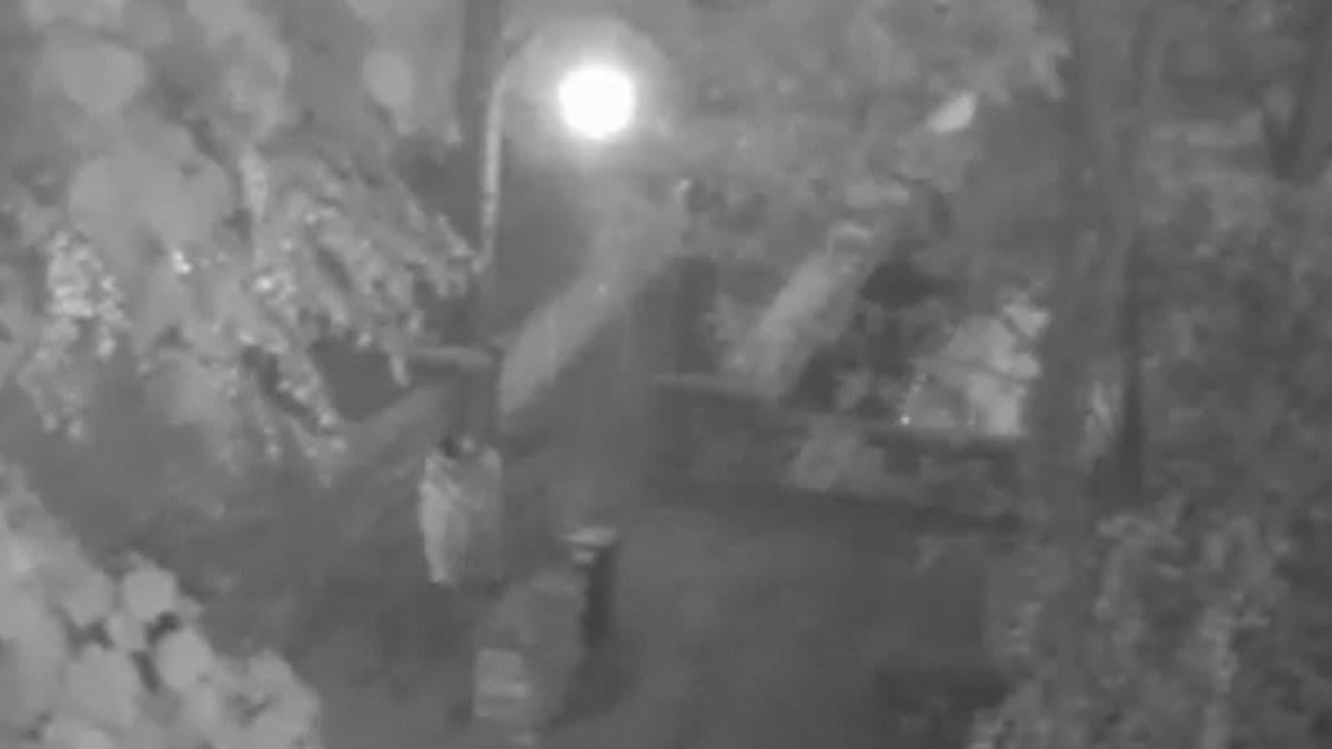 Footage filmed by 15-year-old girl as she was snatched from a park and raped by two teenage Afghan asylum seekers is so horrific it would cause riots if the public saw it, attacker's lawyer says