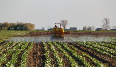 Vlaanderen veroordeeld voor pesticidenbeleid – MO*