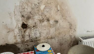 Crackdown on London landlords renting out mouldy and unsafe homes to be expanded