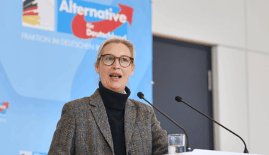 Weidel Is Germany's Most Popular Female Politician, Bild Poll Finds