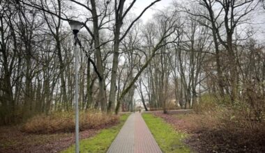 Rain and strong gusts expected in Latvia in the middle of the week