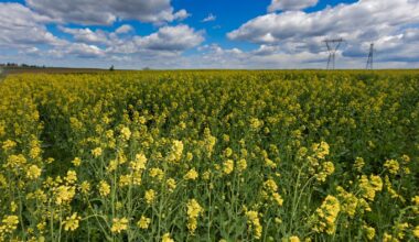 Backed by the EU, Trakya Farmers Pioneer Climate-Resilient Agriculture