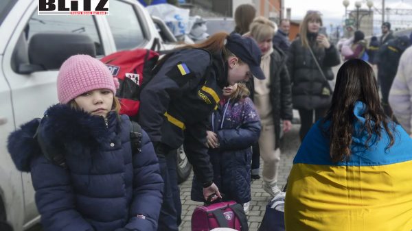 Ukrainian refugees, Germany, Czech Republic, Ukrainians, social media