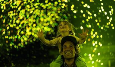 Sustainable firework replacement to shine at 2025 Breckenridge International Festival of Arts - “They are 100% plant-based biodegradables that vaporize the same night, creating this cloud of ever-changing light”