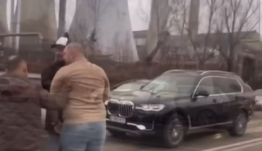 Porcusor salbatic scapat in trafic