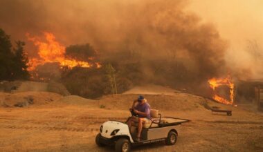 UN says world must jointly tackle issues of climate change, pollution, biodiversity and land loss