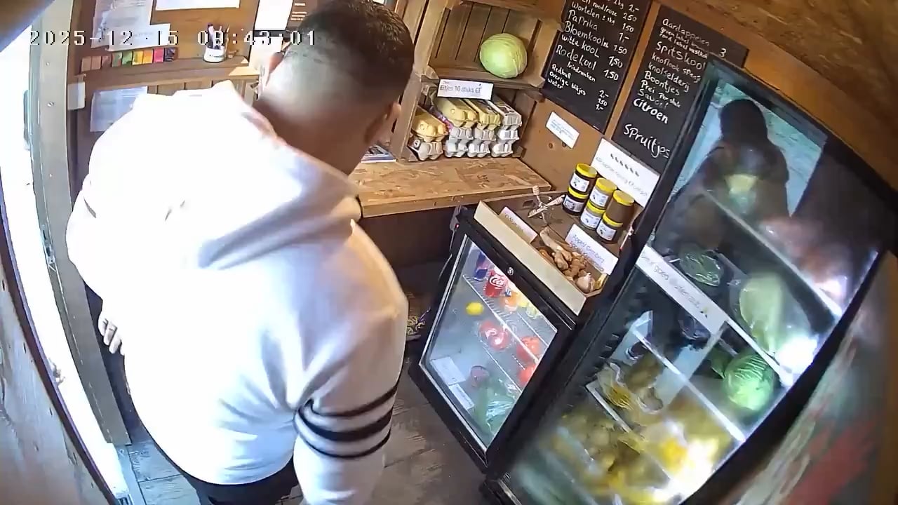 Doi romani golesc o taraba cu autoservire in Olanda