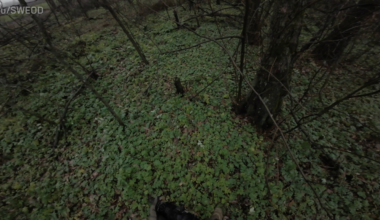 Svenska minröjaren i Donbas här igen. Tack för Ert stöd under 2025, nu fortsätter vi!